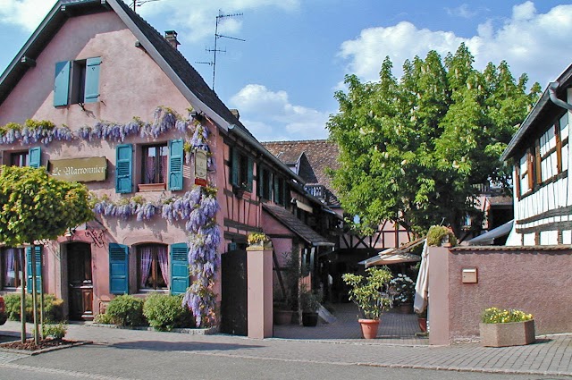 Le Marronnier - Restaurant