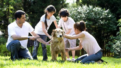 Jackson County Animal Shelter