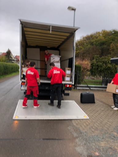 Zilm-Umzüge - Visual