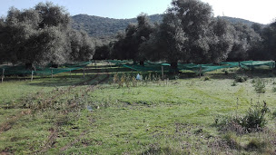 Photo n°9 de Chez Rose à Belgodère (Camping à la ferme)