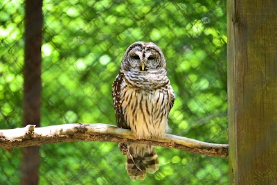 Carolina Raptor Center