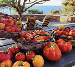 Photo n°47 de L'Artigiana à Galéria (Restaurant)