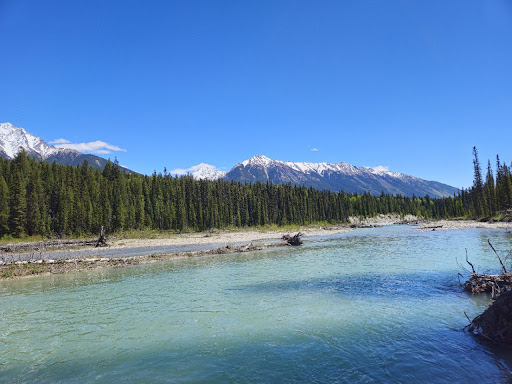 Dog Lake - Visual