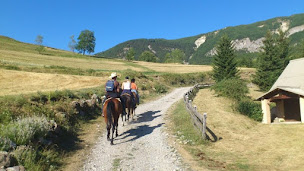 Photo n°10 de AALPES Equitation à Crots (Centre de randonnée équestre)