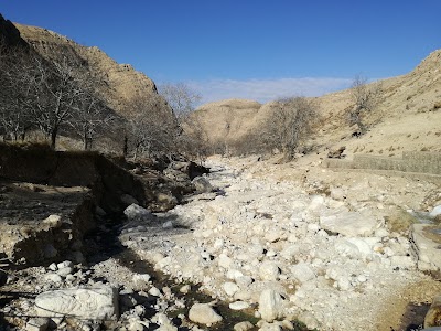 Photos of کلبه هنر