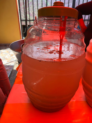 CARNITAS "PAME" Gallery - Mexico