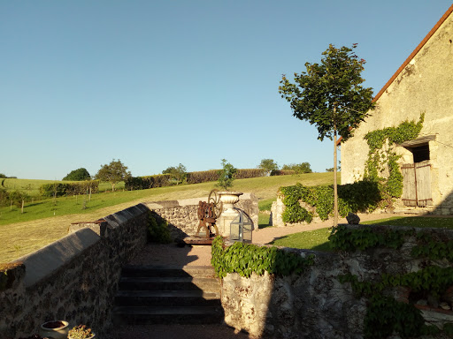 Photo 4 - Hôtel du Bourbonnais