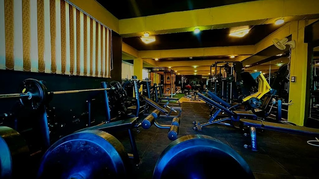 Aesthetic Era Gym