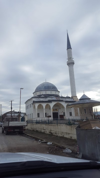 Xhamia e Trushit
