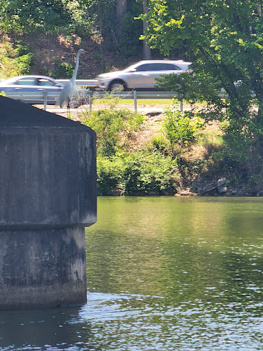 Riverwalk City Park - Thumbnail