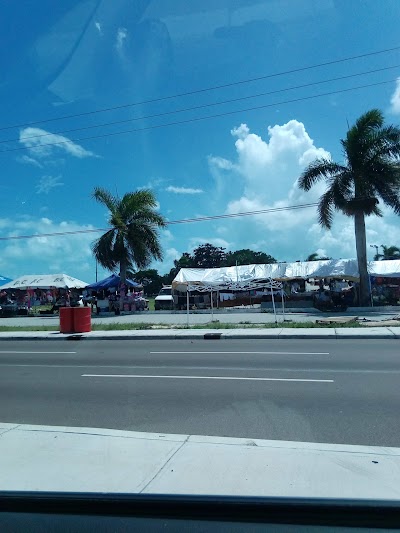 Photos of Seasonal Market