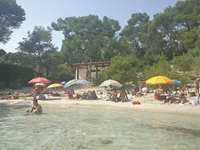 Cala Mitjana