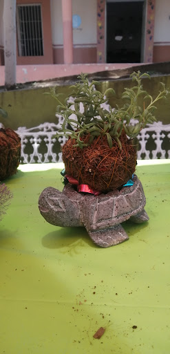 Kokedama love - Thumbnail