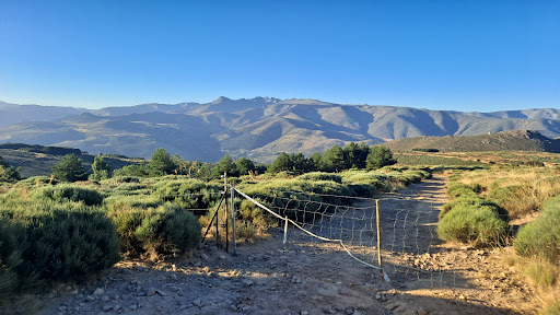 Portera Subida Risco