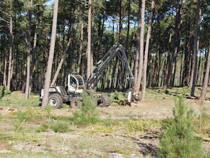 Photo n°2 de Logifor à Bussac-Forêt (Exploitation forestière)