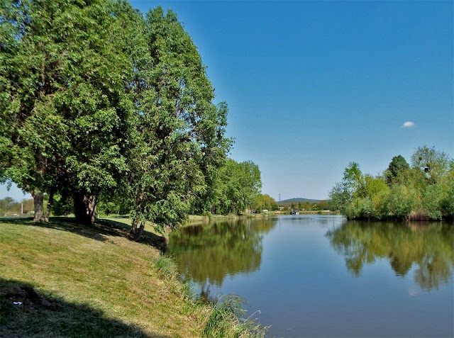 Oroszlány