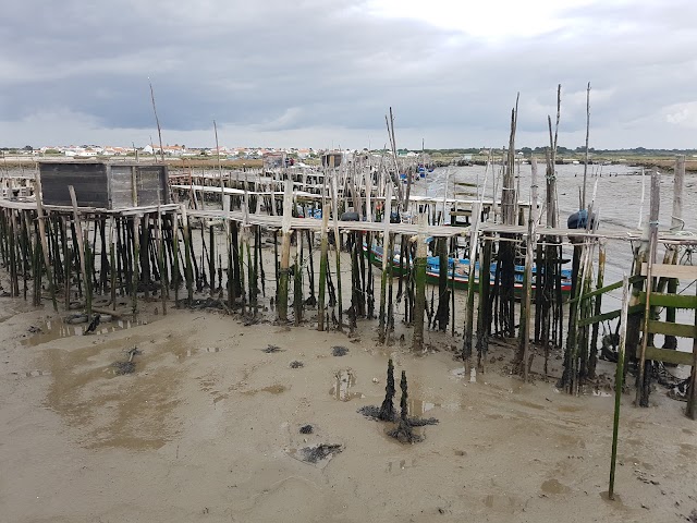 Cais Palafítico da Carrasqueira