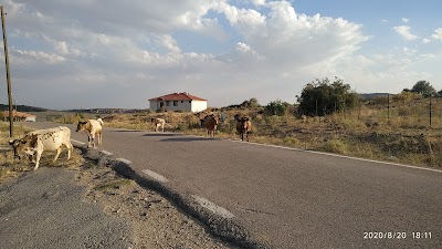 Kucuk Bayat Koyu Muhtarligi