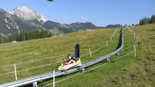 Sommerrodelbahn Pendolino - Thumbnail