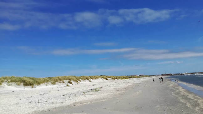 DCU-Camping Ålbæk Strand
