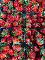 Photo n°11 de Cueillette à la ferme à Stutzheim-Offenheim (Ferme)