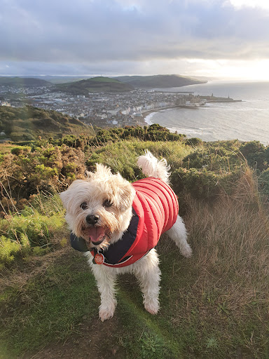 Sidney's pet presents and grooming