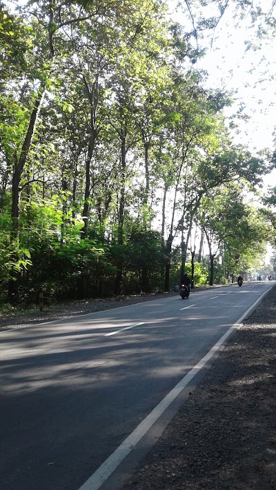 Photos of Teak Forest KPH Balapulang