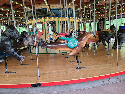 Conservation Carousel - Visual