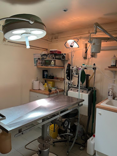 Clinique Vétérinaire Paris 5 - Dr LITTNER - Vétérinaire