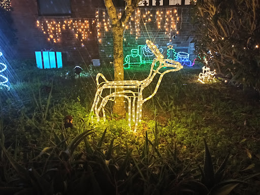 Christmas Garden - Thumbnail