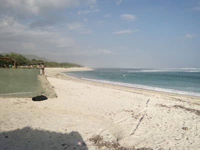 Photos of Tropical Beach