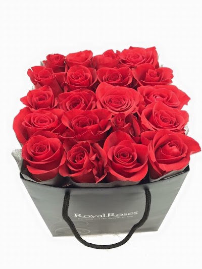 Photos of RoyalRoses - Dubai