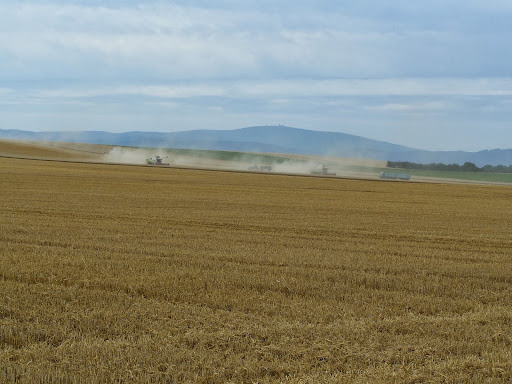 Landboden Osterwieck Agrodienste GmbH & Co. KG - Thumbnail