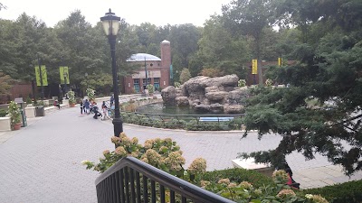 California Sea Lion Pool