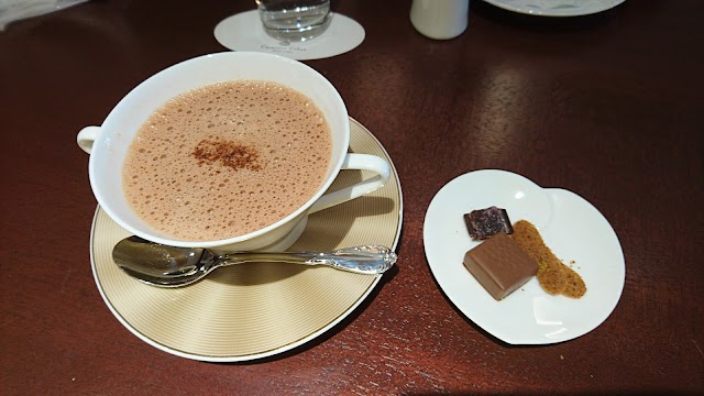 Cacaotier Gokan