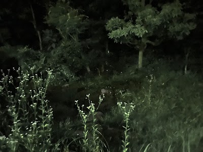 江田島中央公園