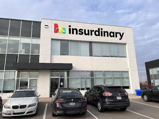 Insurdinary - Visual