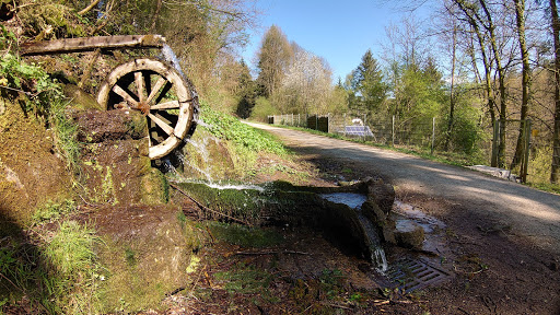 Wanderbahn Mosbach-Mudau