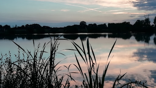 Photo de Etang de Bonnes
