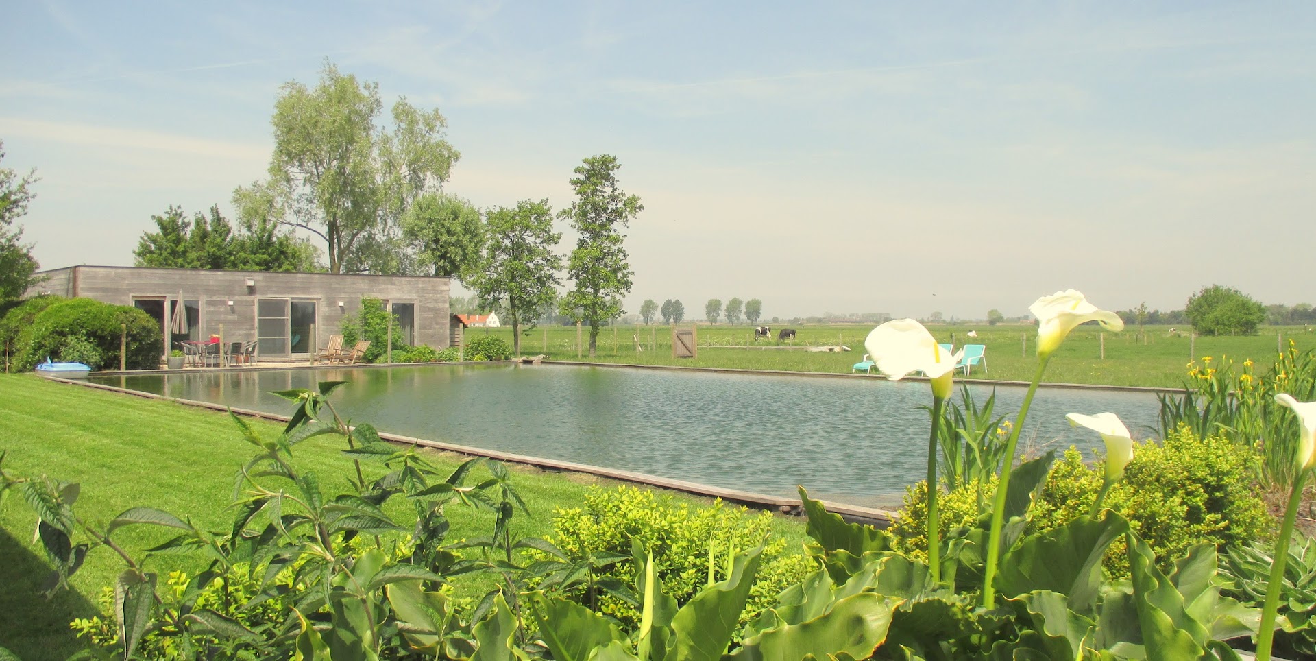 vakantiewoning 't Wydouw - Housity