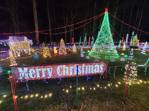 Amarante's Winter Wonderland - Thumbnail