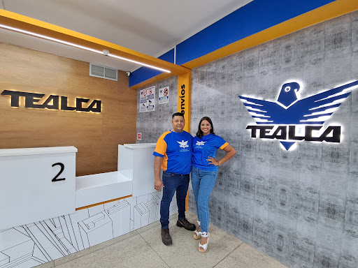 Tealca Circunvalación 2 (8513B)