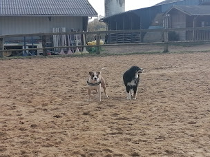 Photo n°5 de Centre équestre des Lauriers à Merlevenez (Centre équestre)
