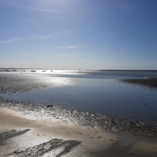 Photo de ATASH - Odyssée St Trojan Les Bains