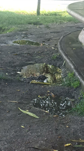 Comentarios y opiniones de Boulevard Parque Brasil