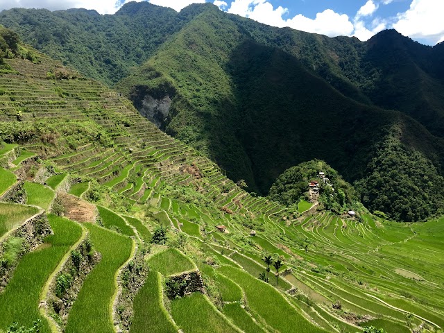 Banaue Rice Terraces