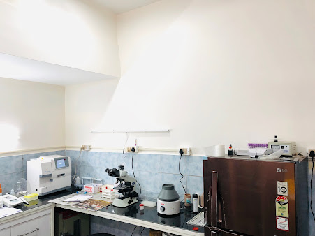 Af1qipomcpbbhgg4x5gfiiutjrqgx  Vkhzdnevjyl0l=s451 K No