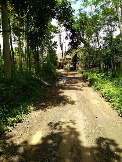 Photos of Warung Ulan