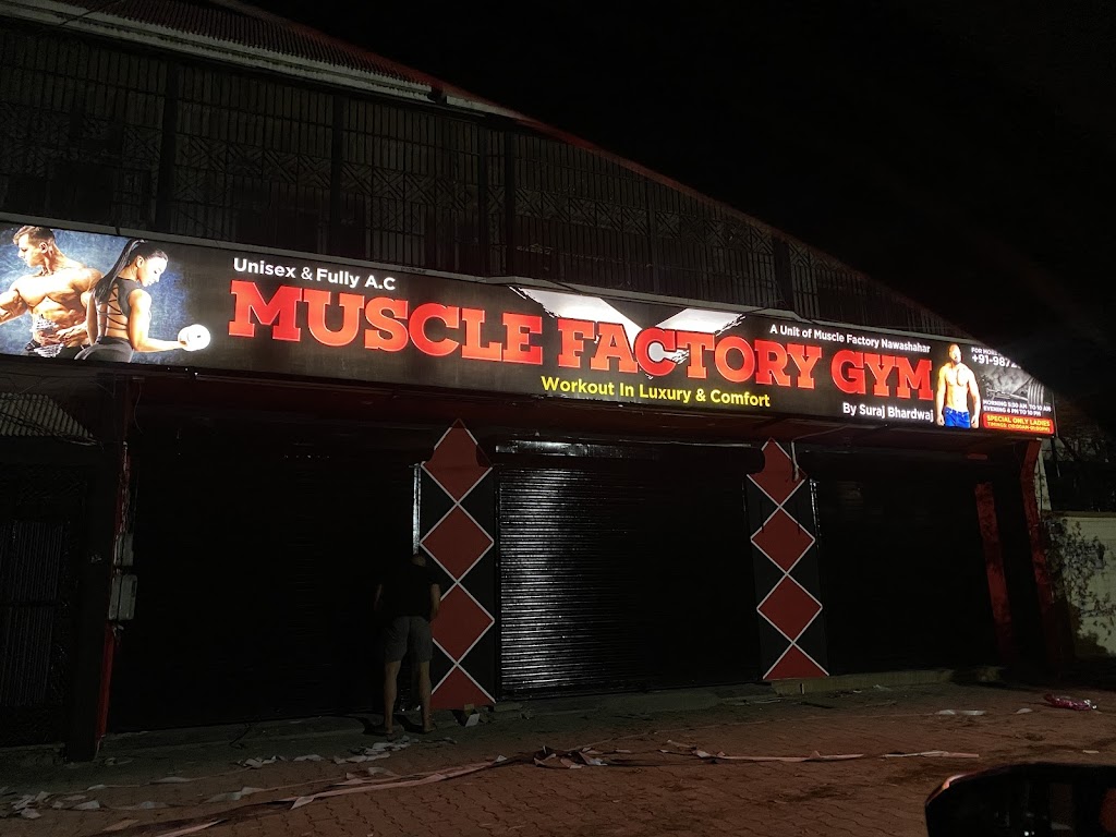 Muscle Factory Gym Phillaur Best Unisex Gym