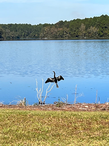 Lake D - Visual